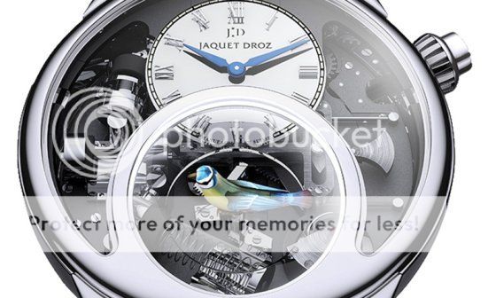 Explore Woodrow Kane