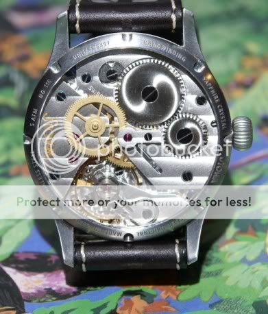 Explore Woodrow Kane