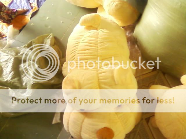 Chuyên các mặt hàng thú nhồi bông