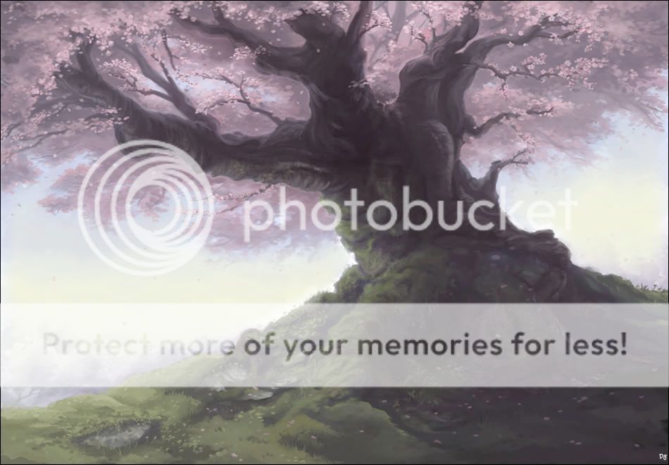 cherry tree blossom drawing. cherry tree blossom drawing.