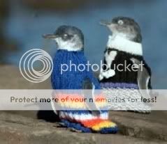pengssweaters.jpg