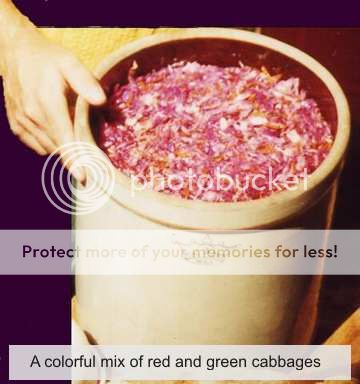 Making sauerkraut recipes