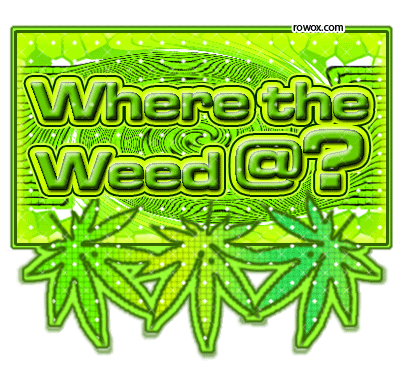 smoking weed gif. where_the_weed.gif