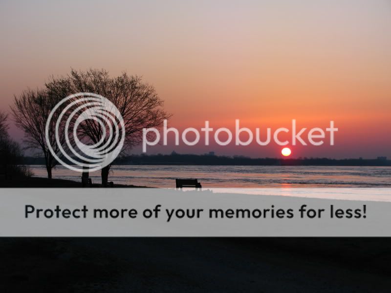 IMAGE: http://i521.photobucket.com/albums/w340/Oakman58/BStL092.jpg