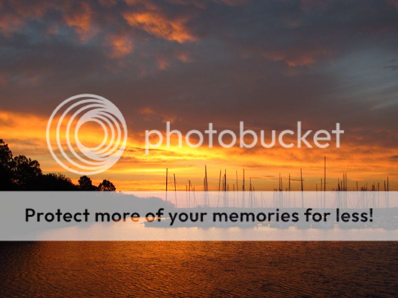 IMAGE: http://i521.photobucket.com/albums/w340/Oakman58/IMG_0231.jpg