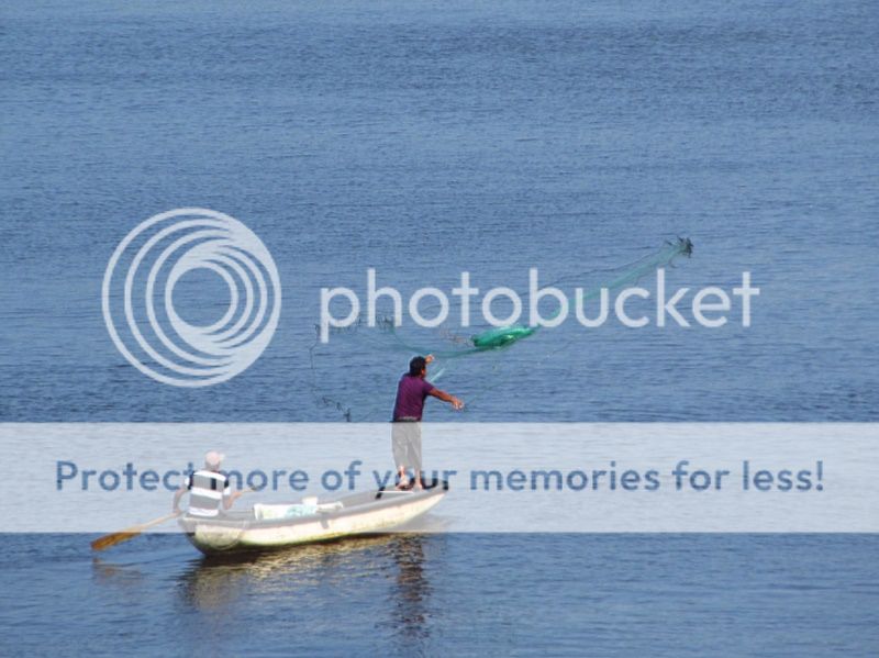 IMAGE: http://i521.photobucket.com/albums/w340/Oakman58/IMG_5247-Copy_zps9ea7eebc.jpg