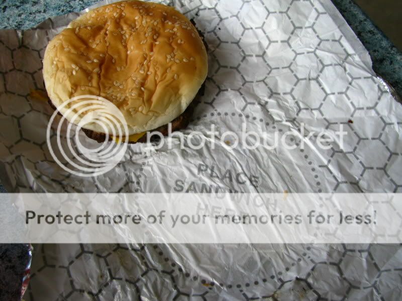 IMAGE: http://i521.photobucket.com/albums/w340/Oakman58/zoo006_2.jpg